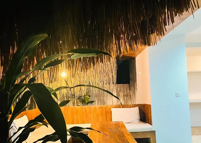 Palm Green Hotel