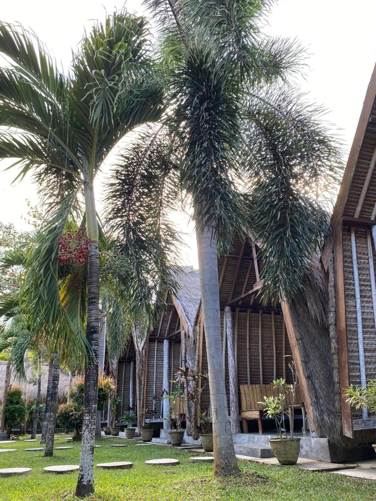 Vakantiepark Palm 2*