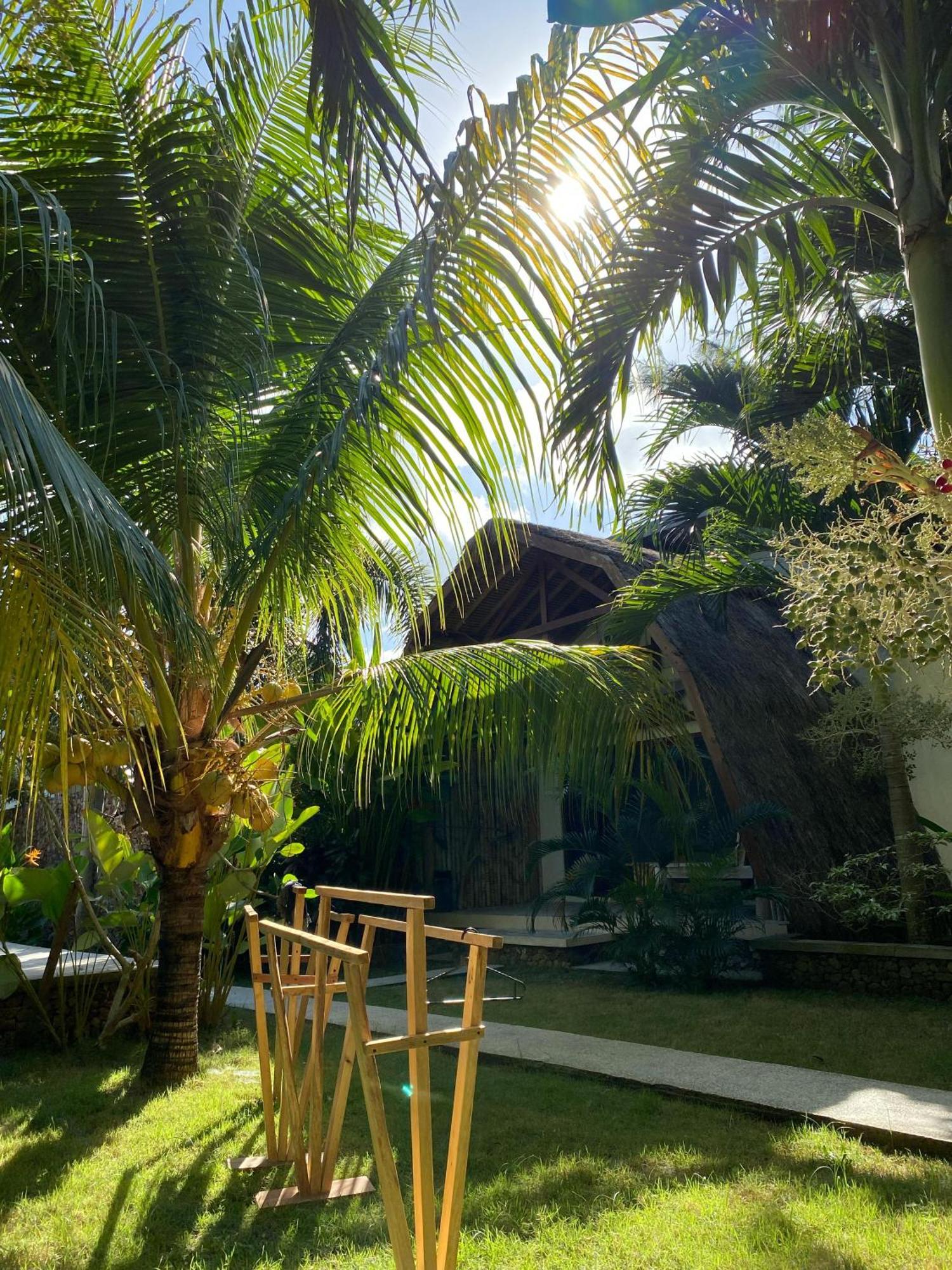 Palm 2*
