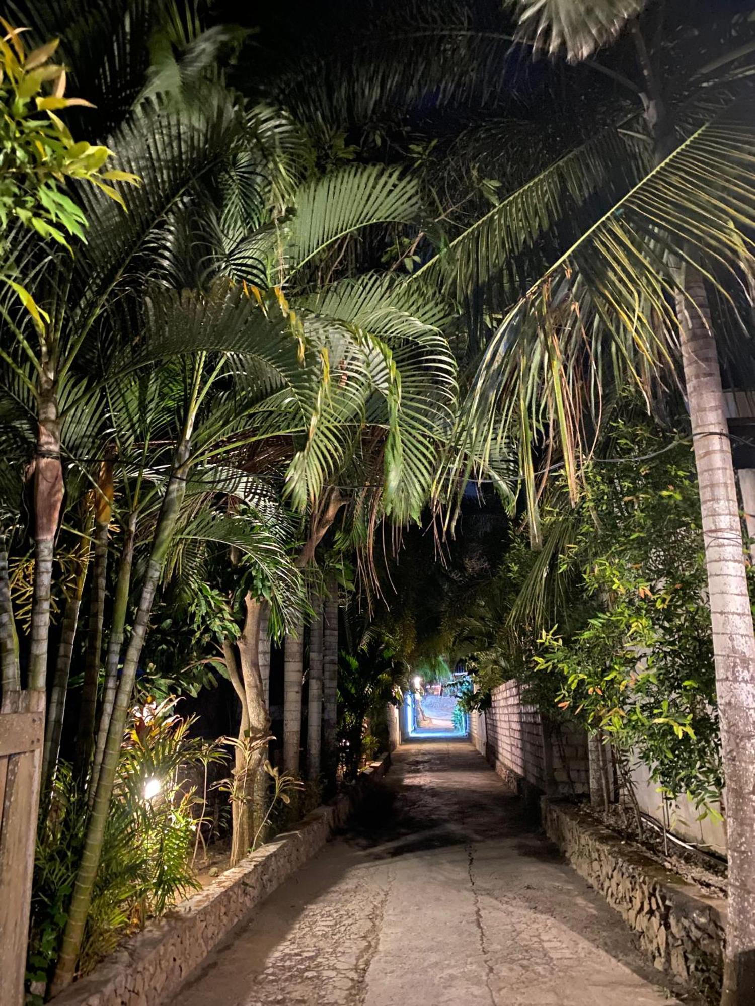 Palm 2*