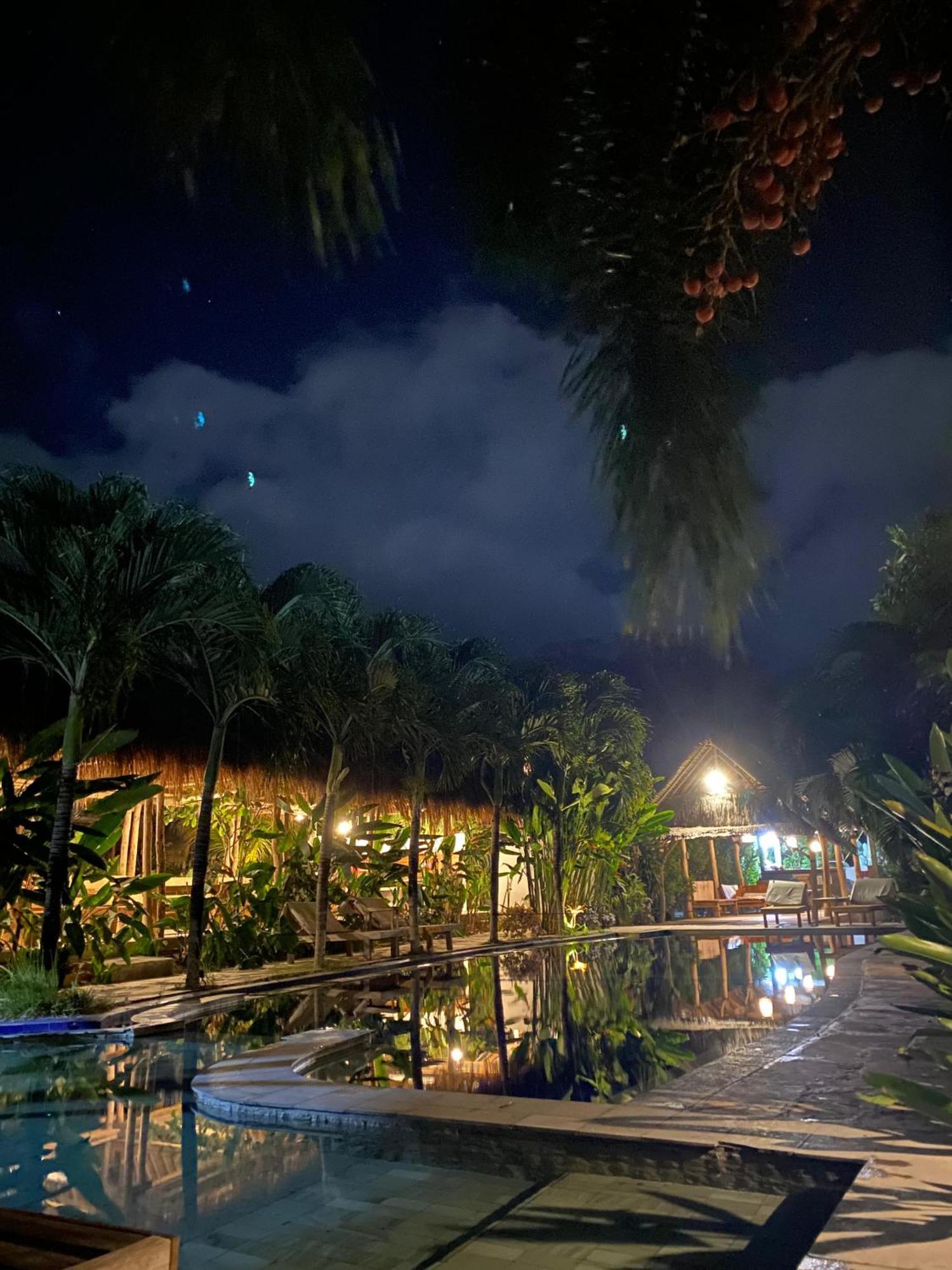 Palm 2*