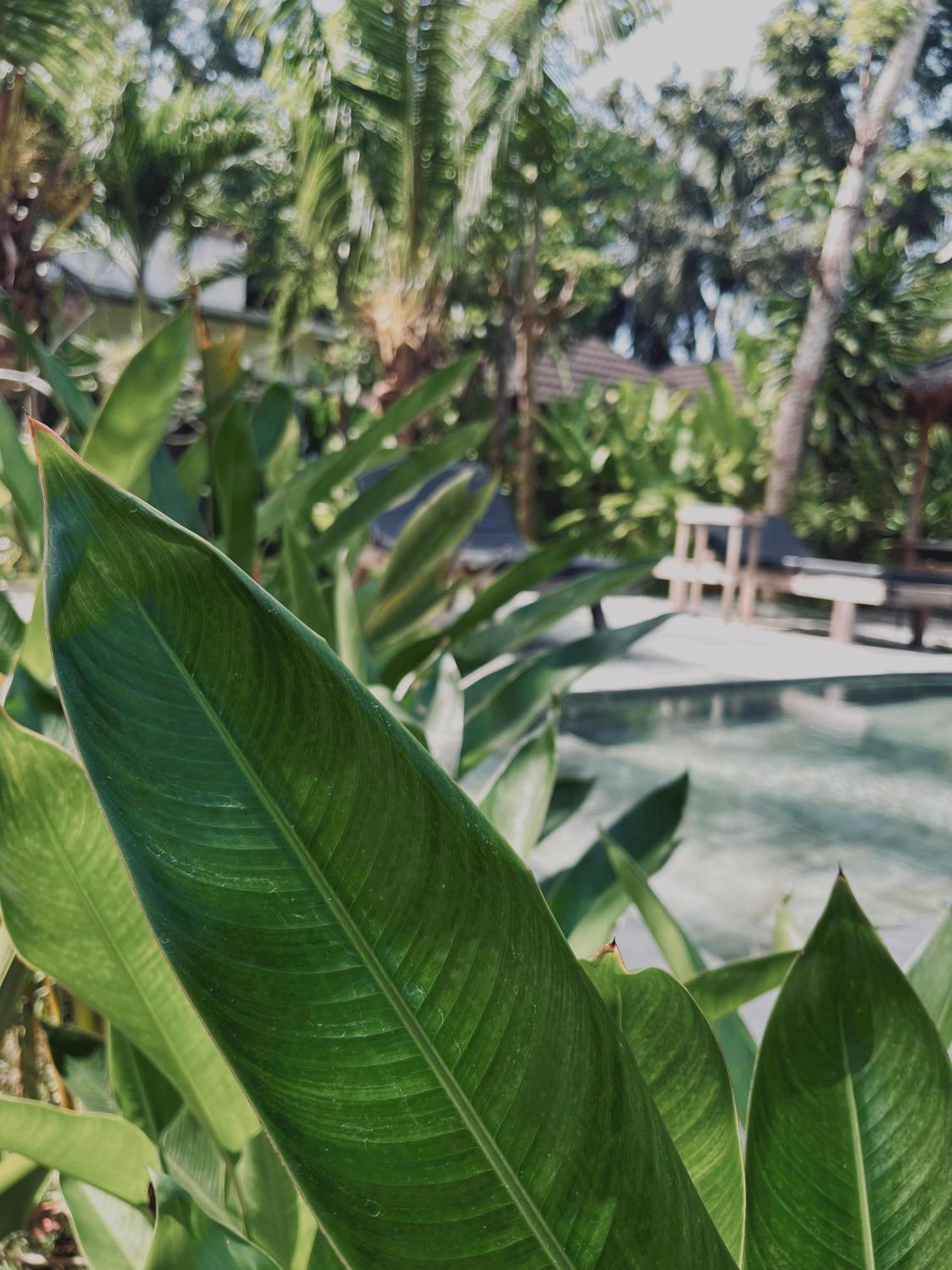 Holiday park Palm Kuta (Lombok)
