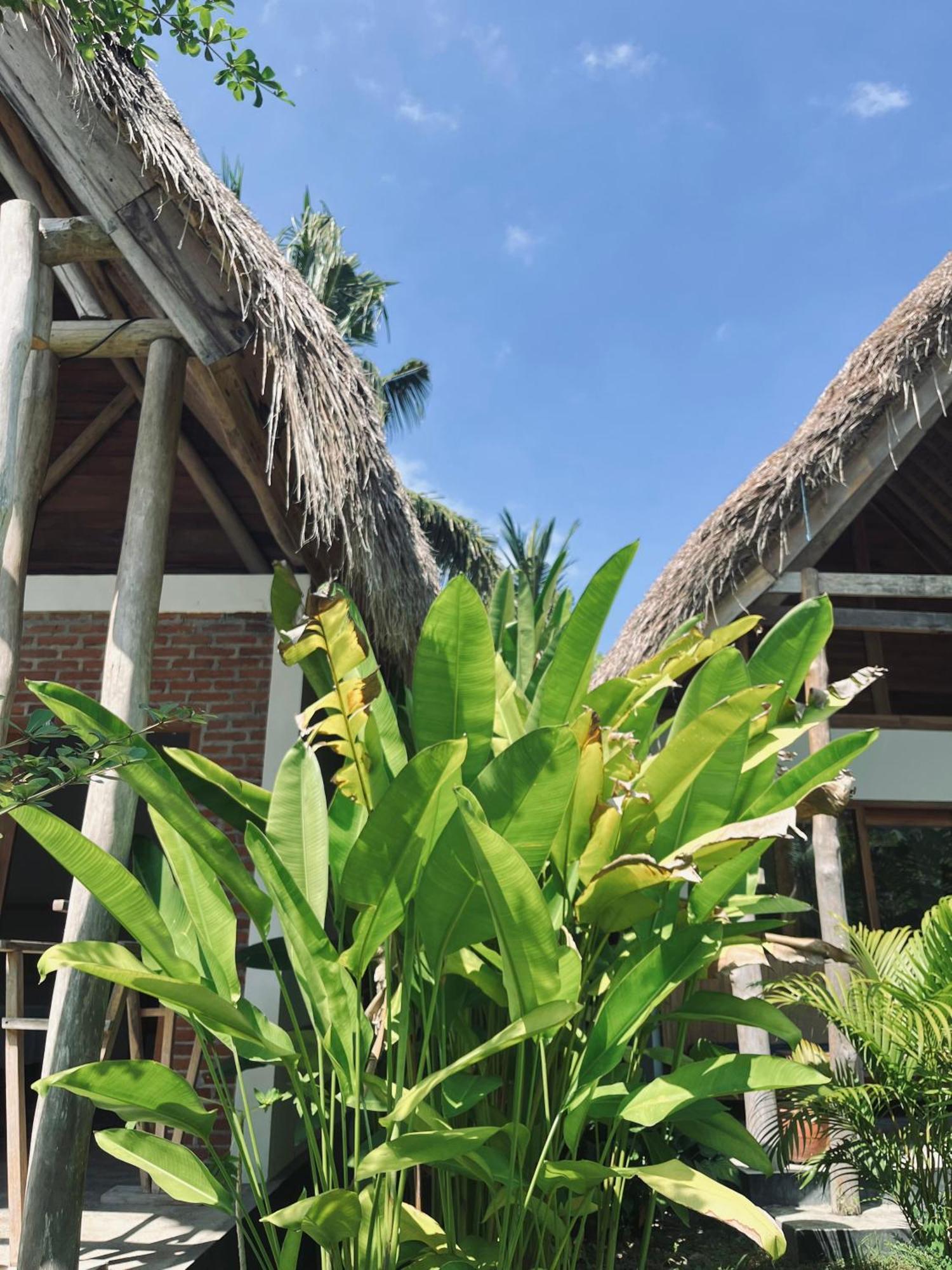 Palm Holiday park 2*