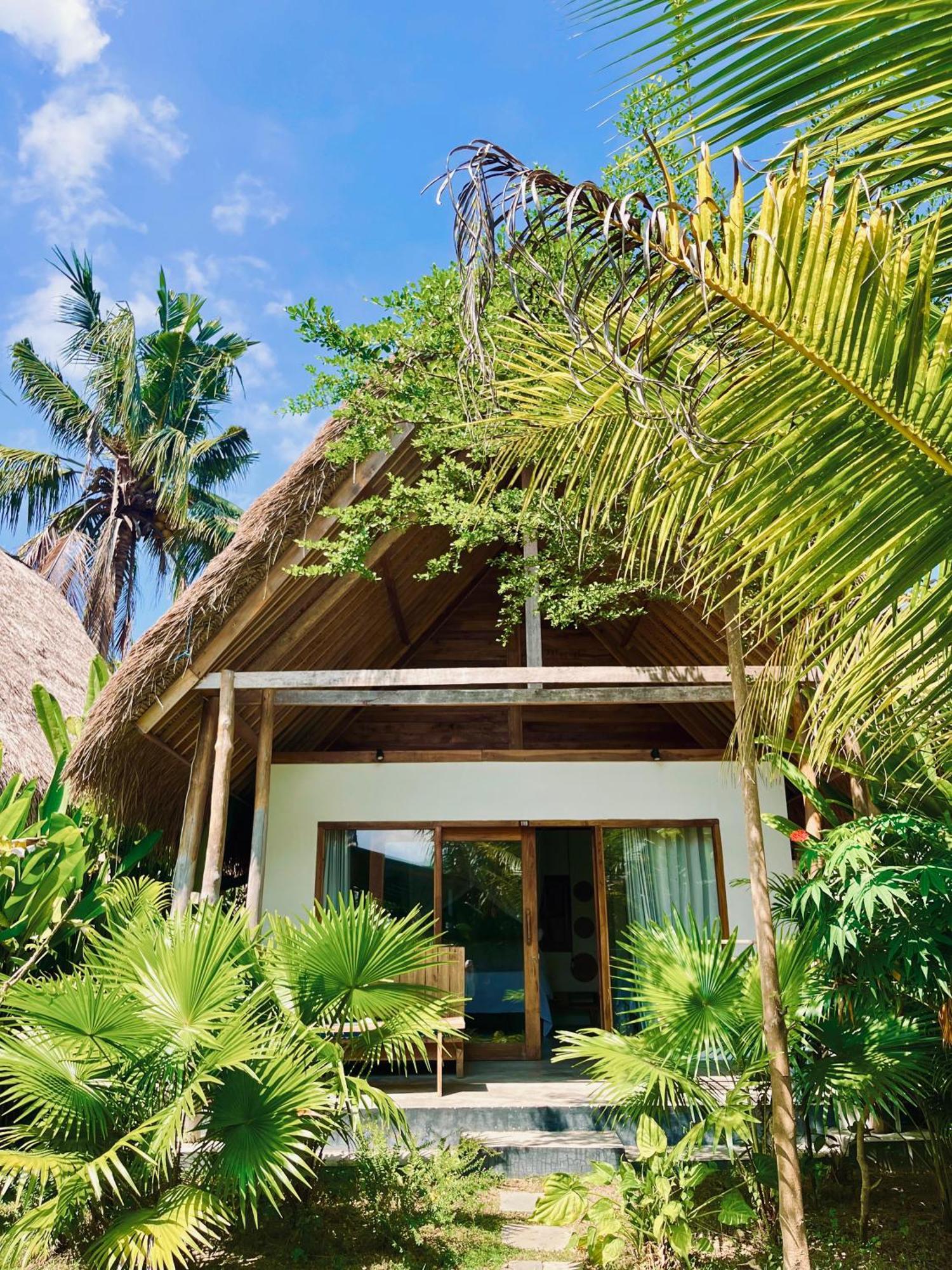 Palm